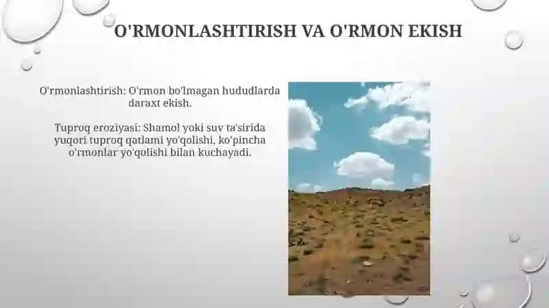 Tuproq erroziyasi 4