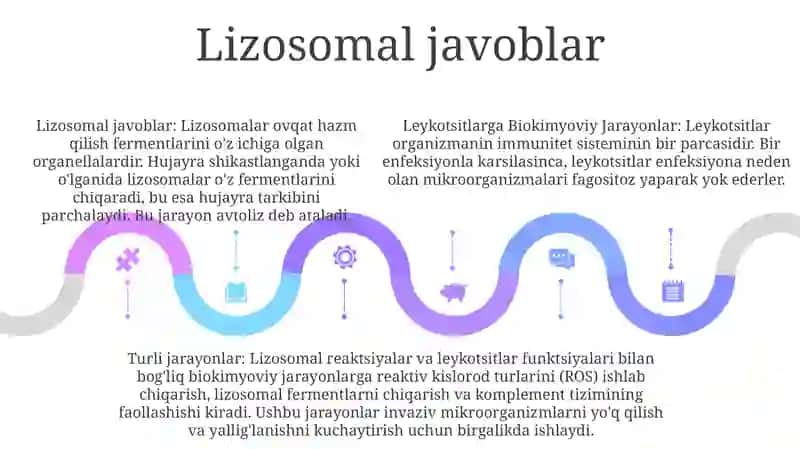 Leykotsitlarga Biokimyoviy Jarayonlar 4