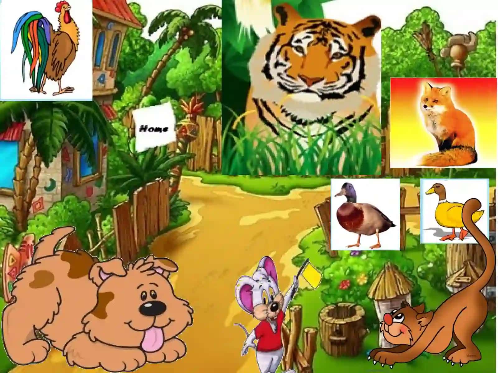 “Hayvon va parranda nomlarini bildirgan otlar” 3-sinf ona tili dars ishlanma 4