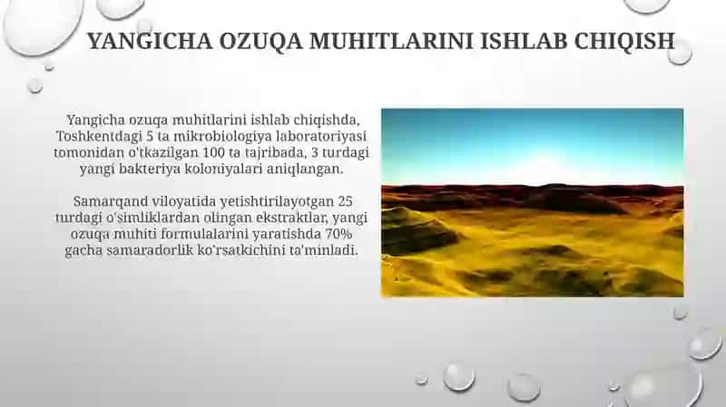 Optimum Ozuqa Muhiti Aniqlash 4