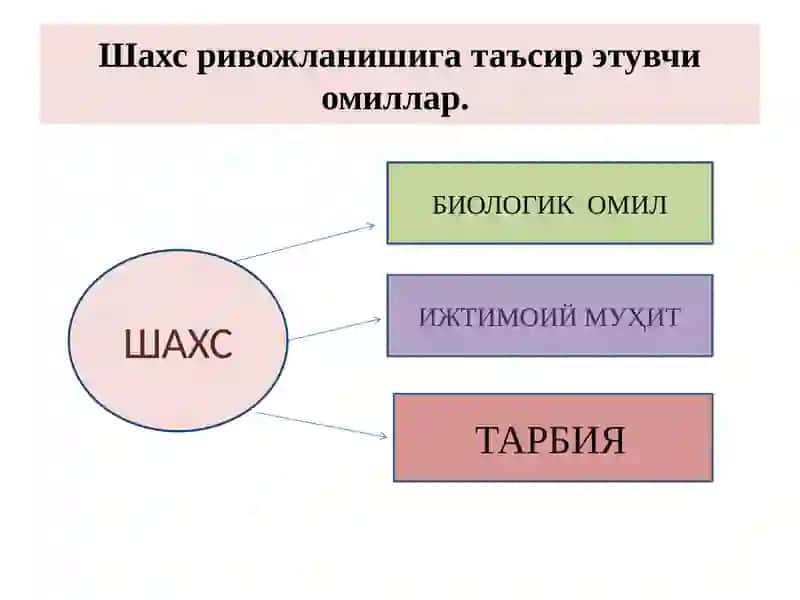 Тарбия назарияси 4