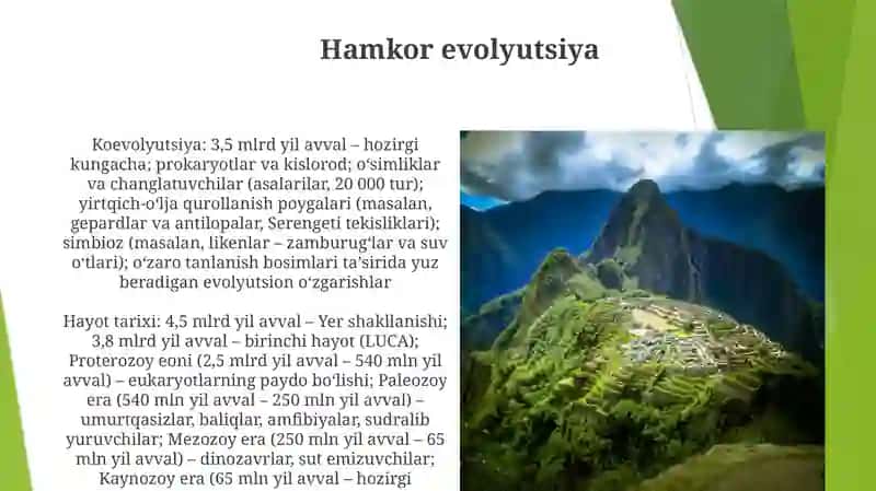 Makroevolyutsiya va hayot tarixi 4