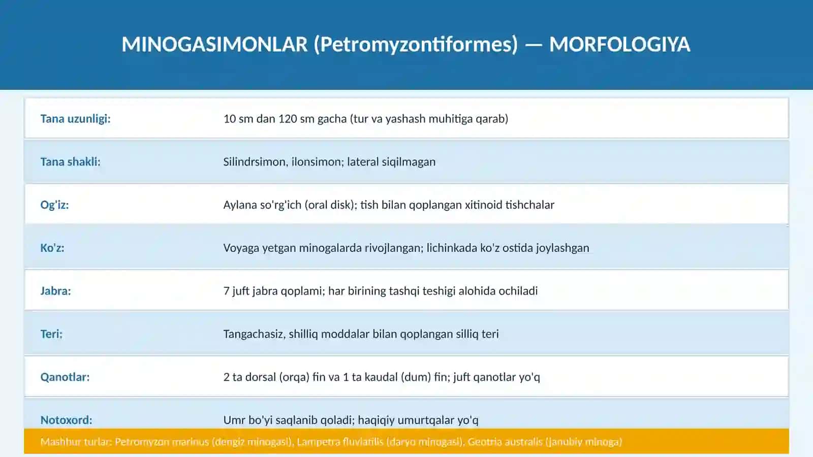 MINOGASIMONLAR VA MIKSINASIMONLAR 4