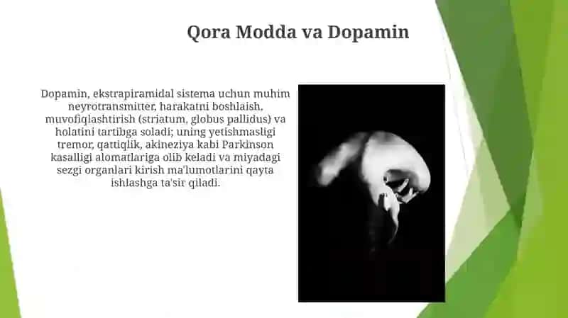 Inson sezgi organlari 4