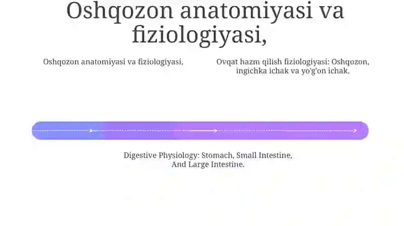 Ovqat hazm qilish fiziologiyasi: Oshqozon, ingichka ichak va yo'g'on ichak 4