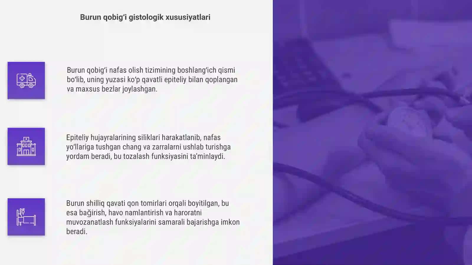 Nafas olish tizimi gistologiyasi 4