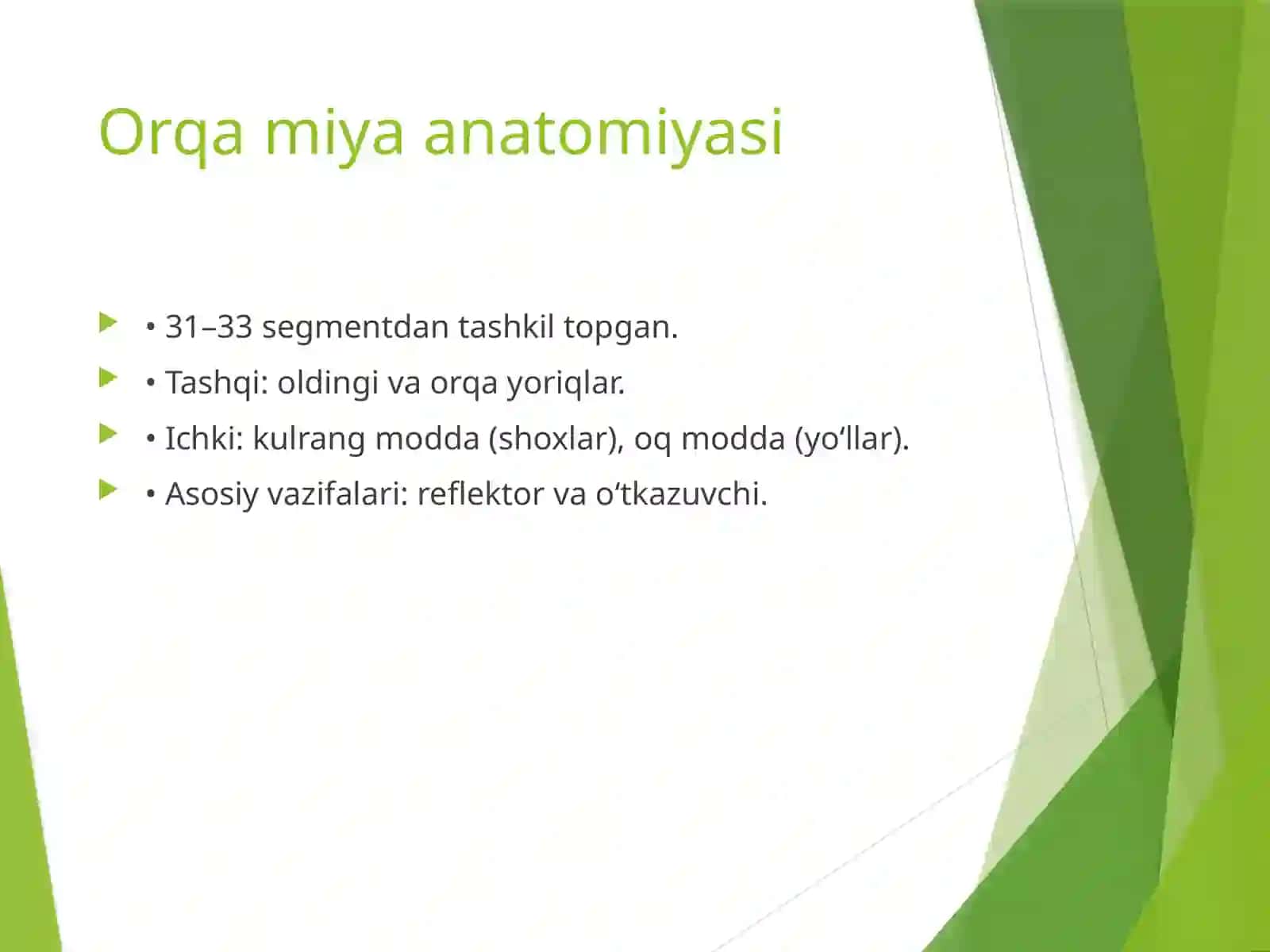 Markaziy nerv tizimi 4