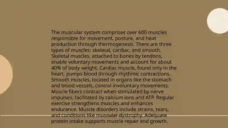Human Body 4