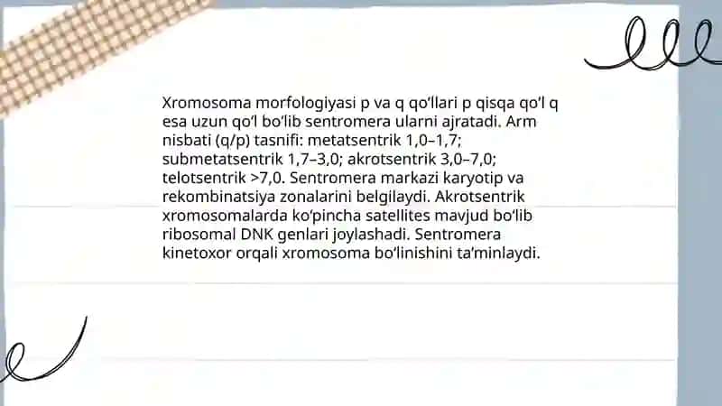Xromosomaning molekulyar tuzilishi: DNK va oqsil kompleksi 4