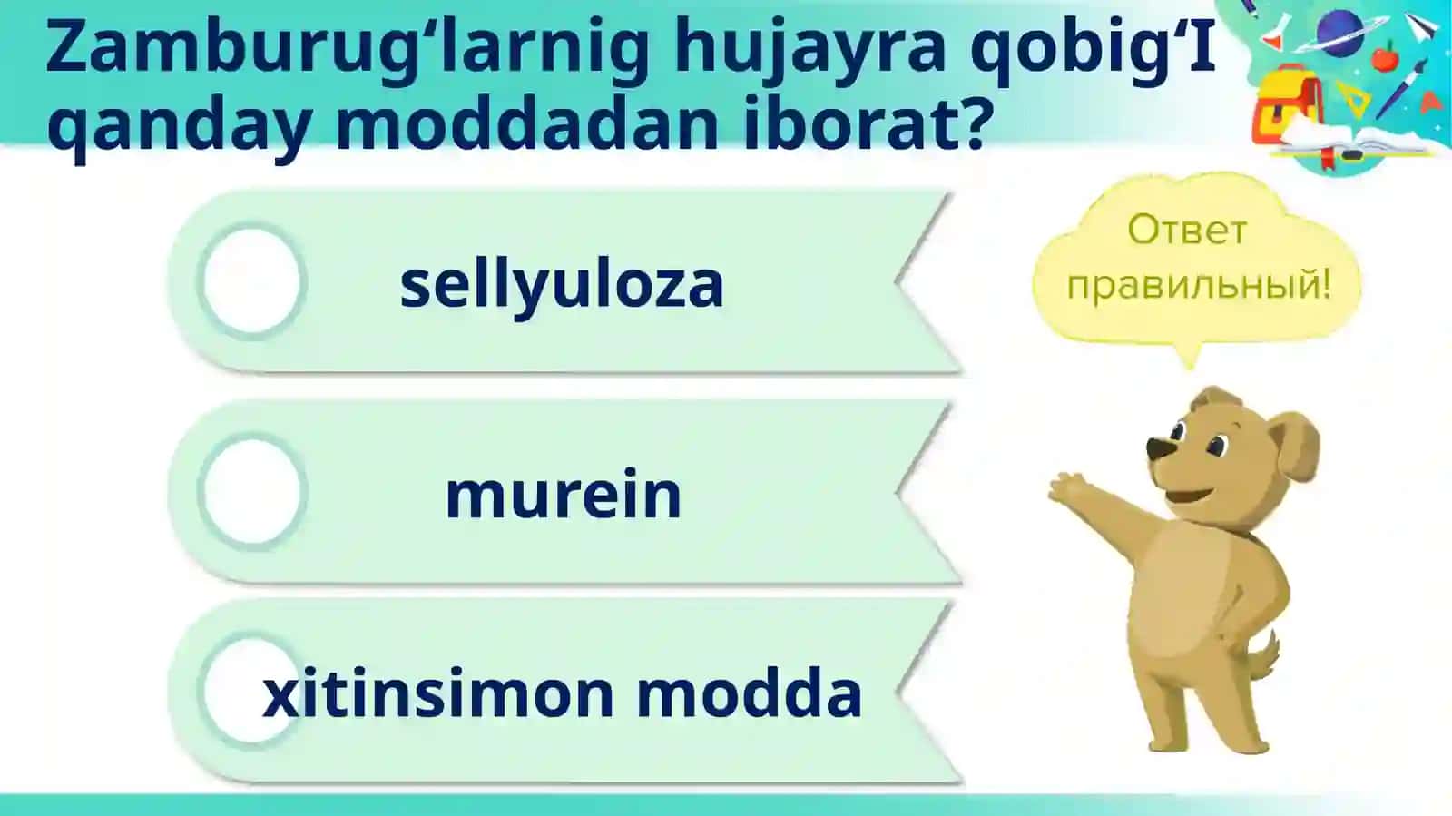 Sitoplazma 4