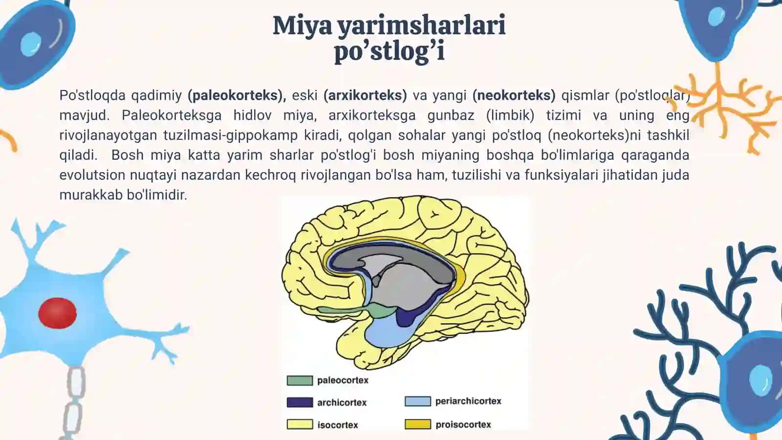 Miya po’stlog’i funksiyalarini o’rganish usullari 4