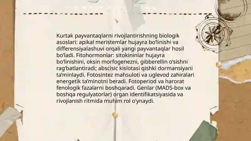 Kurtak payvantaglarni yetishtirish 4