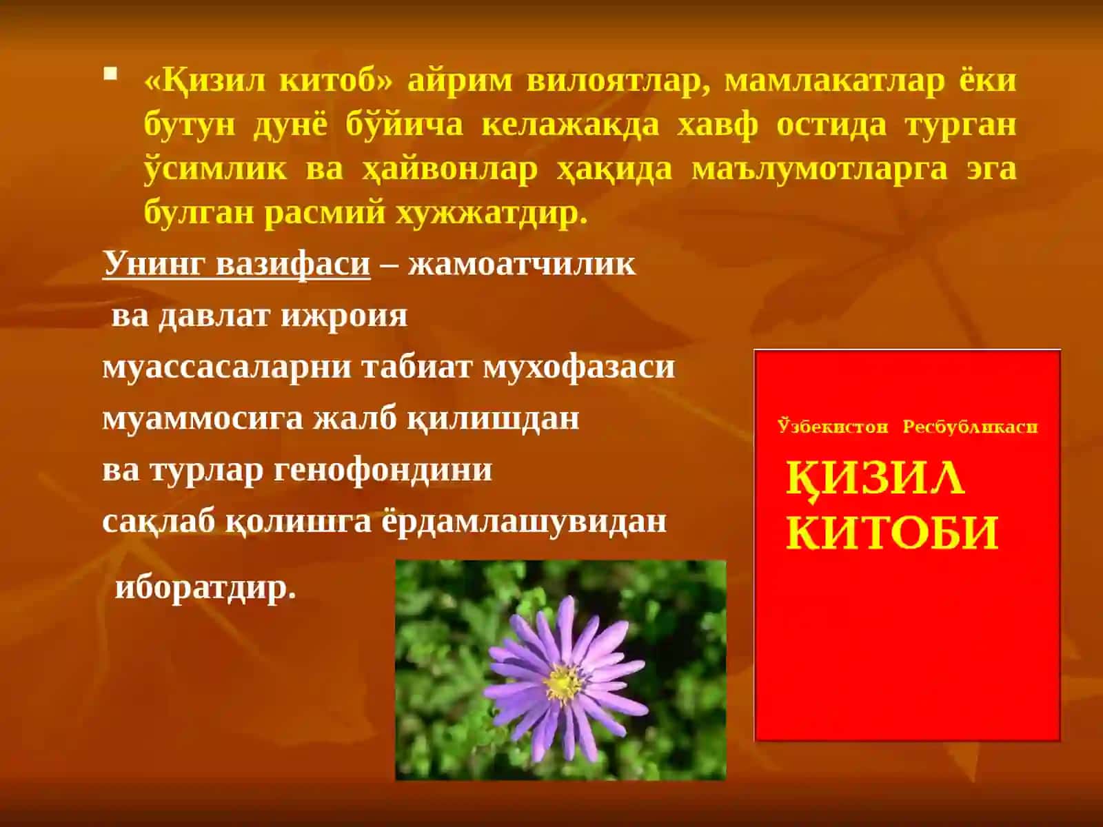 Ўсимлик ва ҳайвонларни муҳофаза қилиш 4