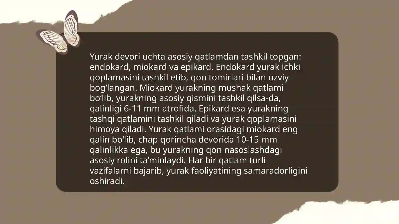 Yurakning anatomik tuzilishi 4