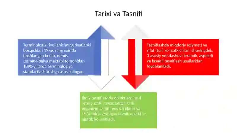 Mikro mavzu terminologik glossariy 4