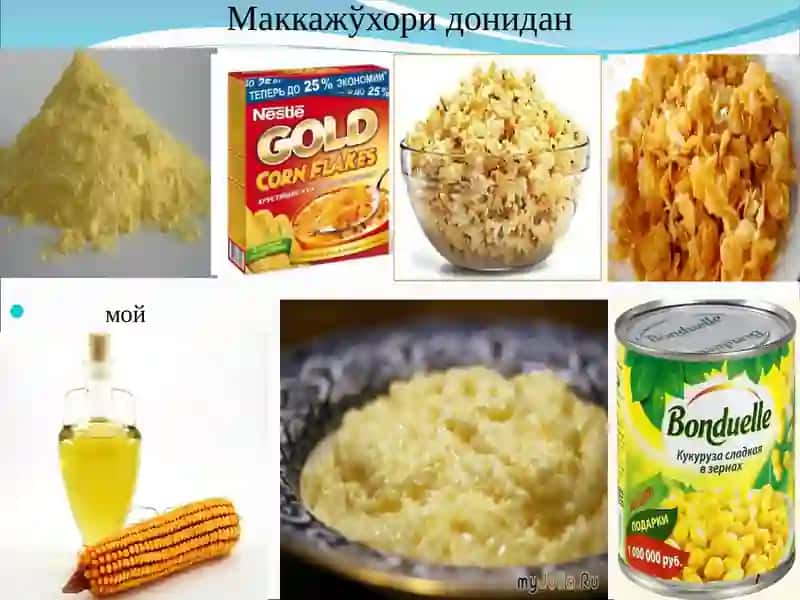 МАККАЖЎХОРИ АҲАМИЯТИ, БИОЛОГИЯСИ ВА ЕТИШТИРИШ ТЕХНОЛОГИЯСИ 4