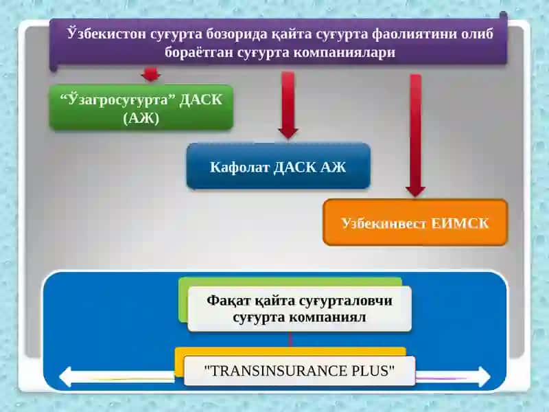 ҚАЙТА СУҒУРТА 4