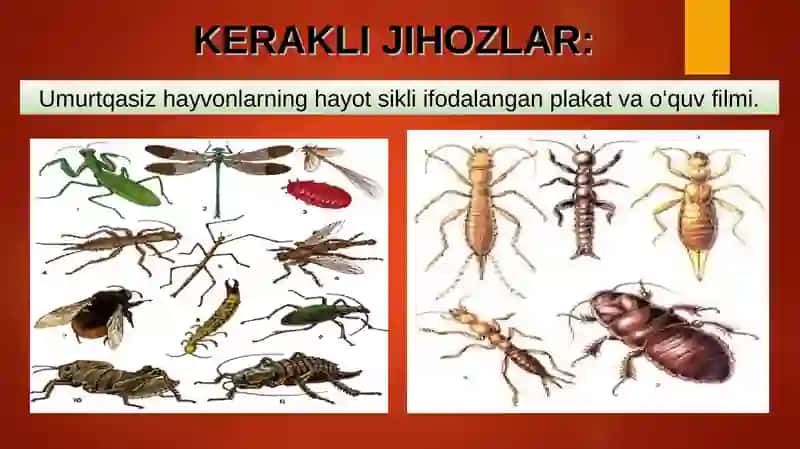 BIOLOGIYA 5-sinf MUSTAHKAMLASH 4