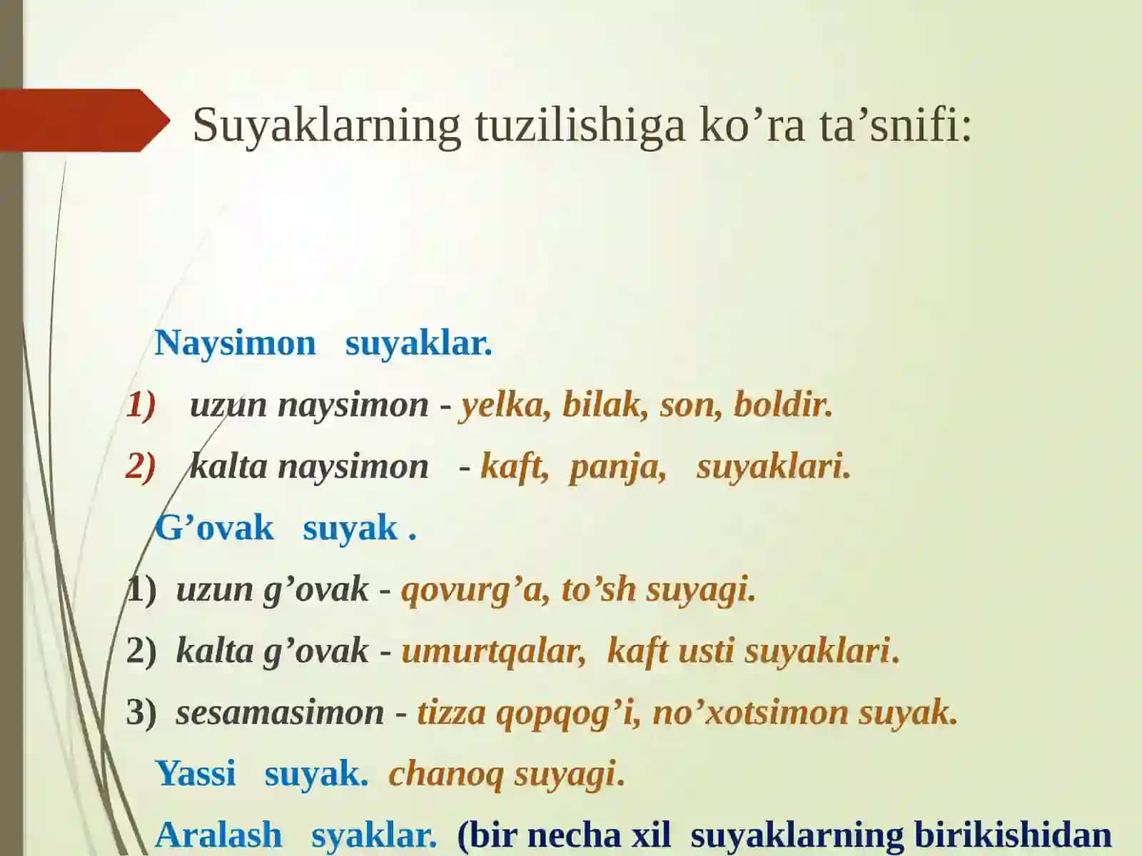 Tayanch-harakatlanishtizimi 4
