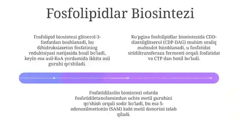Fosfolipidlarning metabolizmi 4