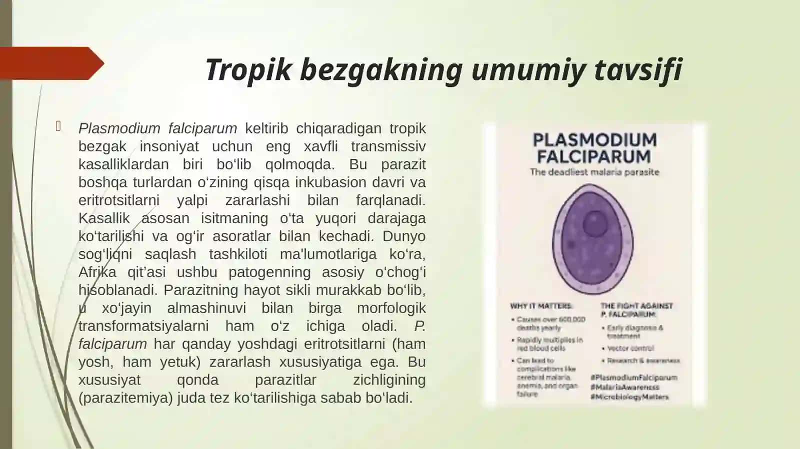 Plasmodium Falciparum(Rivojlanish sikli Inkubasion davriEritrositar.pptx 4