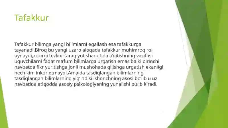 Tafakkur 4