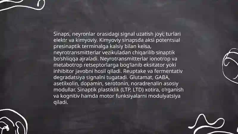 Markaziy nerv sistemasi xususiy fiziologiyasi. Bosh miya xususiy fiziologiyasi 4