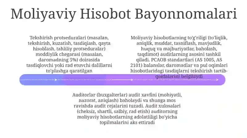 Moliyaviy natijalar auditi 4
