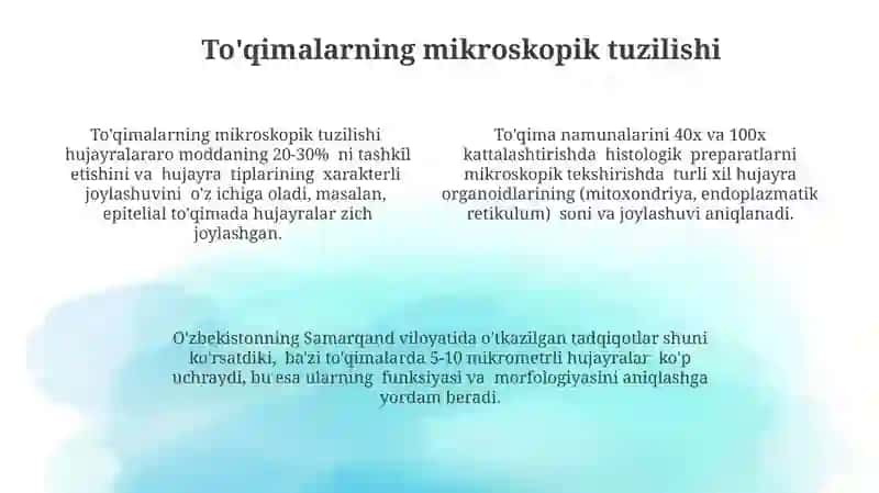 Emalning gistologik tuzilishi 4
