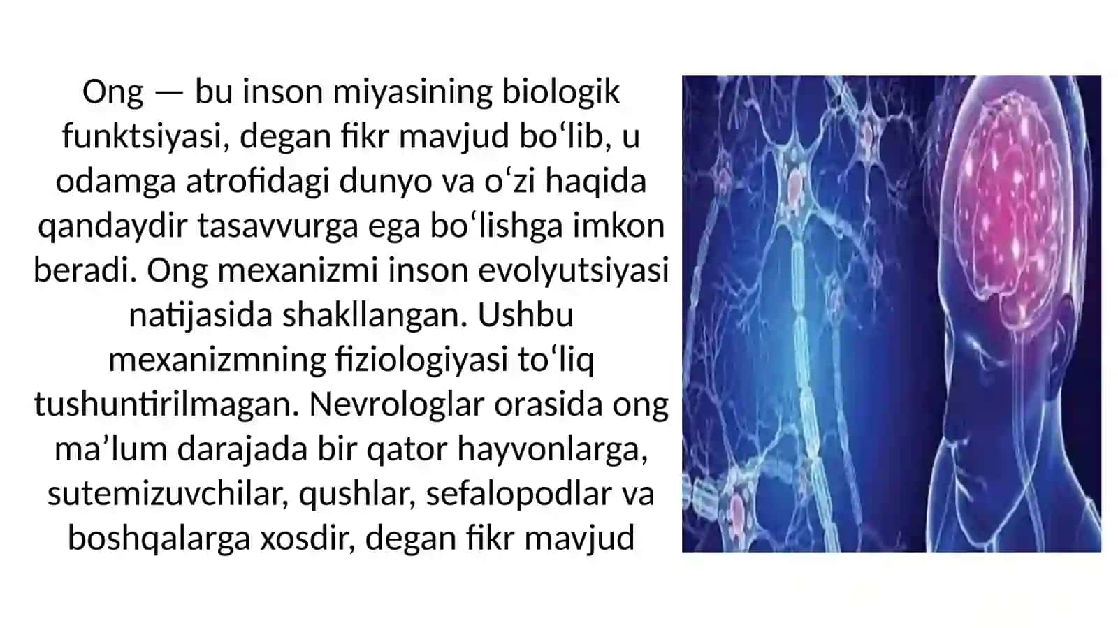 Ong tushunchasi. Ong shakllari 4