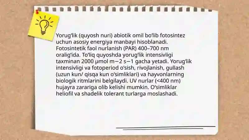 Abiotik omillar 4