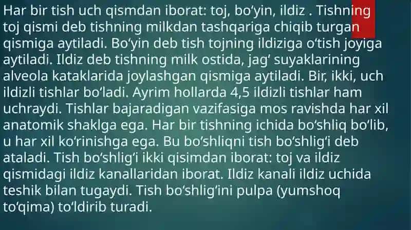 Tishlarning rentgenanatomiyasi 4