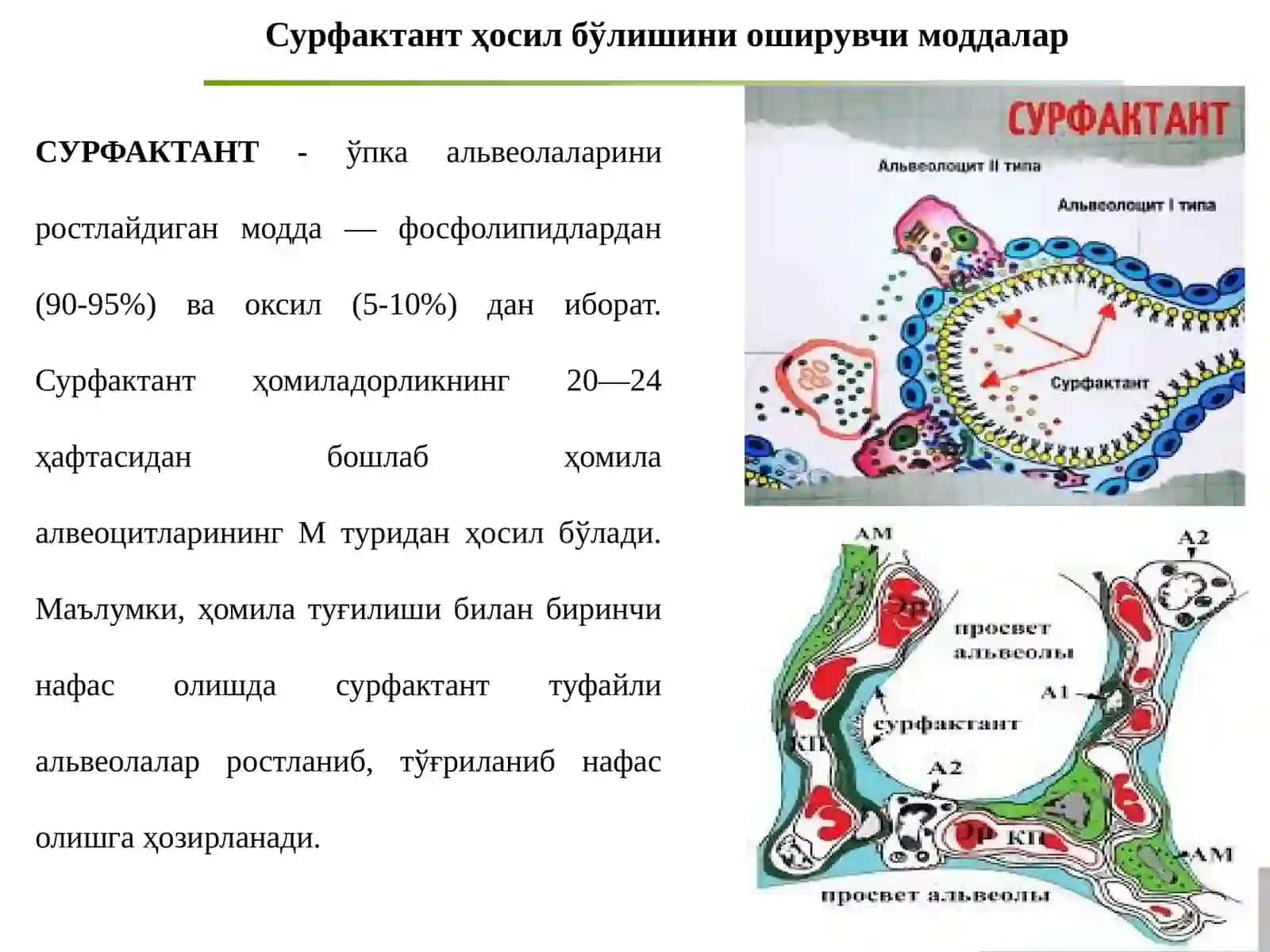Нафас тизими воситалари 4