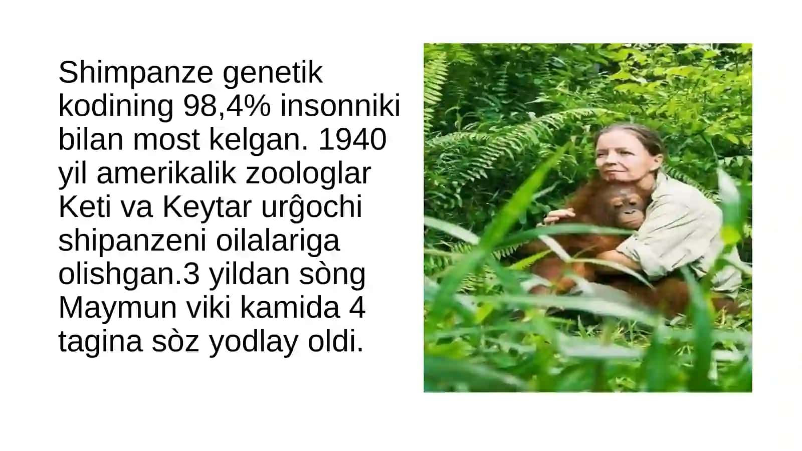 Nutq ontogenezi 4