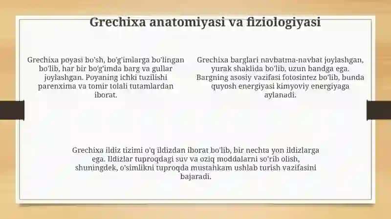 Grechka biologiyasi va turlari 4
