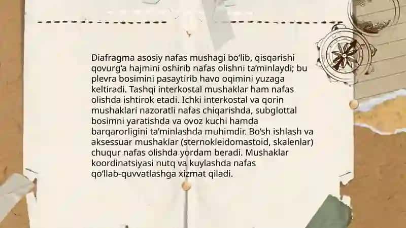Ovoz va nafas hosil bo'lishining ahamiyati 4