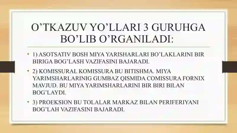 Anatomiya sezuv va harakat o'tkazuv yo'llari. 4