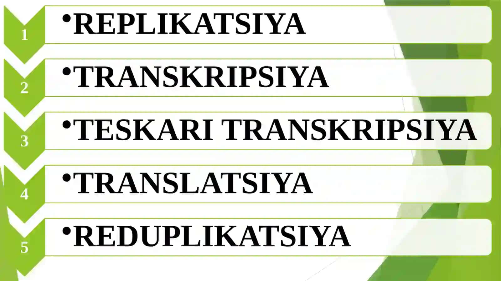 GEN EKSPRESSIYASI VA REGULYATSIYASI (INTRON, EKZZON) 4