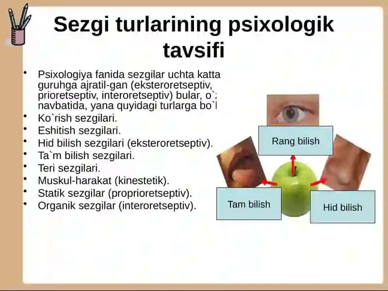 SEZGI 4