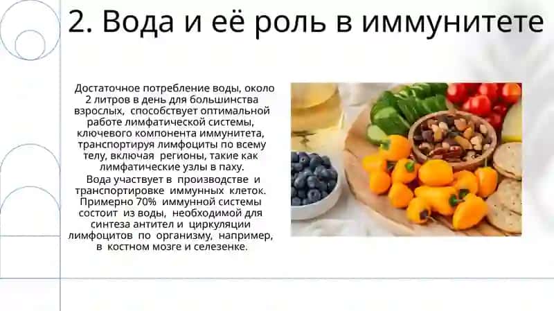 Здоровое питание: как продукты влияют на иммунитет 4