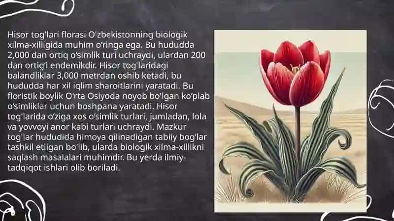 O'zbekistonning noyob o'simlik jamoalari 4