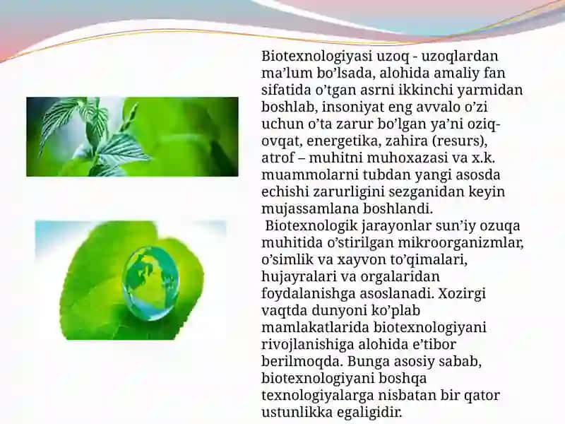 Hujayramuhandisligidagitexnologikjarayonlar 4