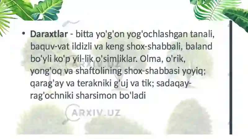 O‘SIMLIKLARNING HAYOTIY SHAKLLARI 4