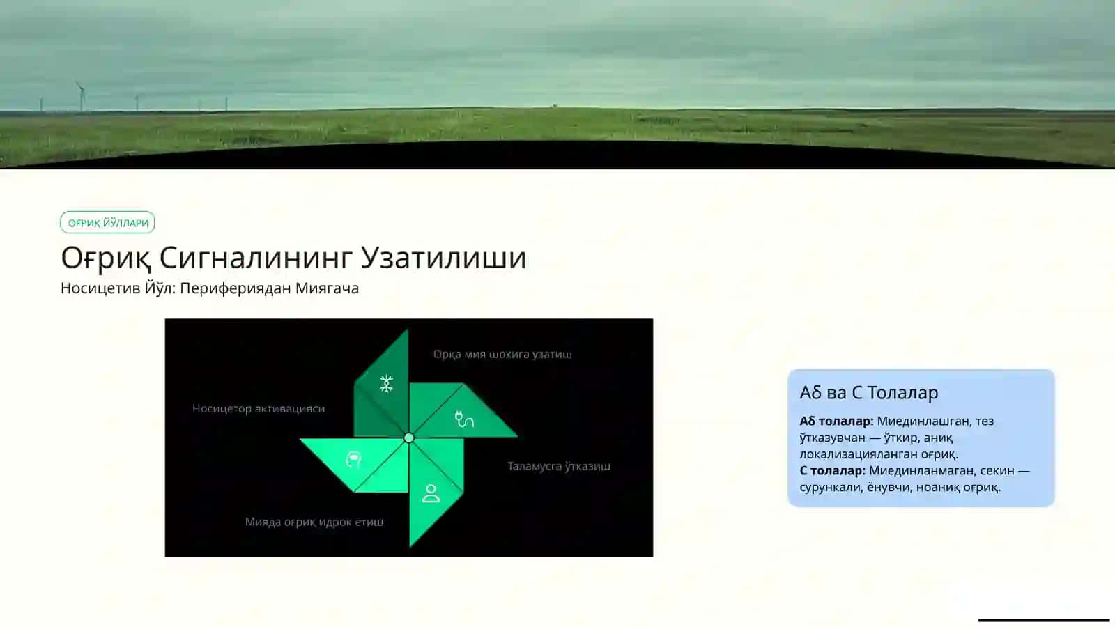 Рецепторлароғриқ, Баро - ва Ҳеморесепторлар 4