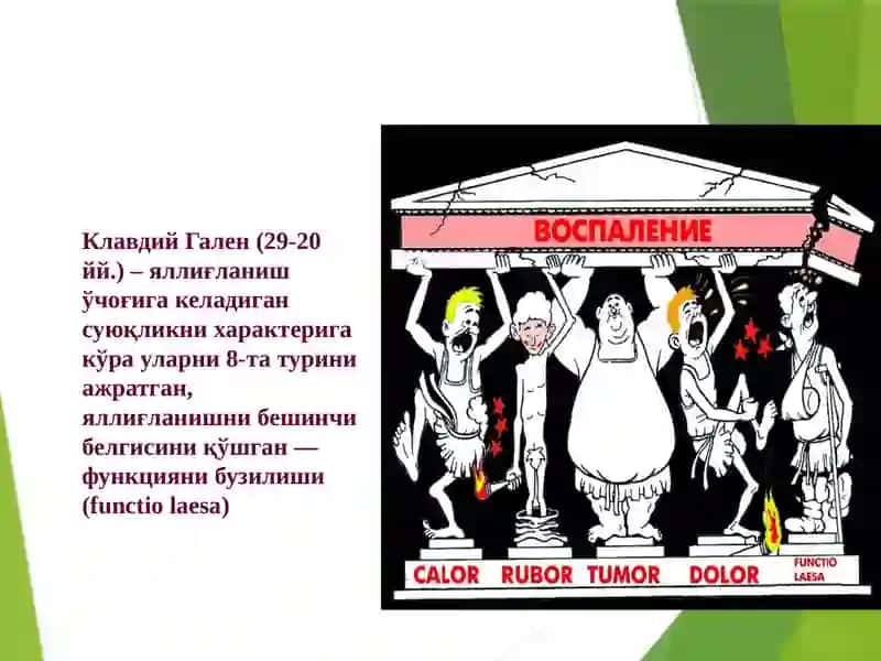 Яллиғланиш патофизиологияси 4