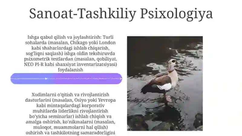 Sanoat-tashkiliy psixologiya 4