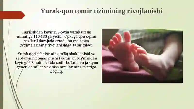 Postnatal ontogenezda rivojlanish jarayonlarining boshqalarilishi 4