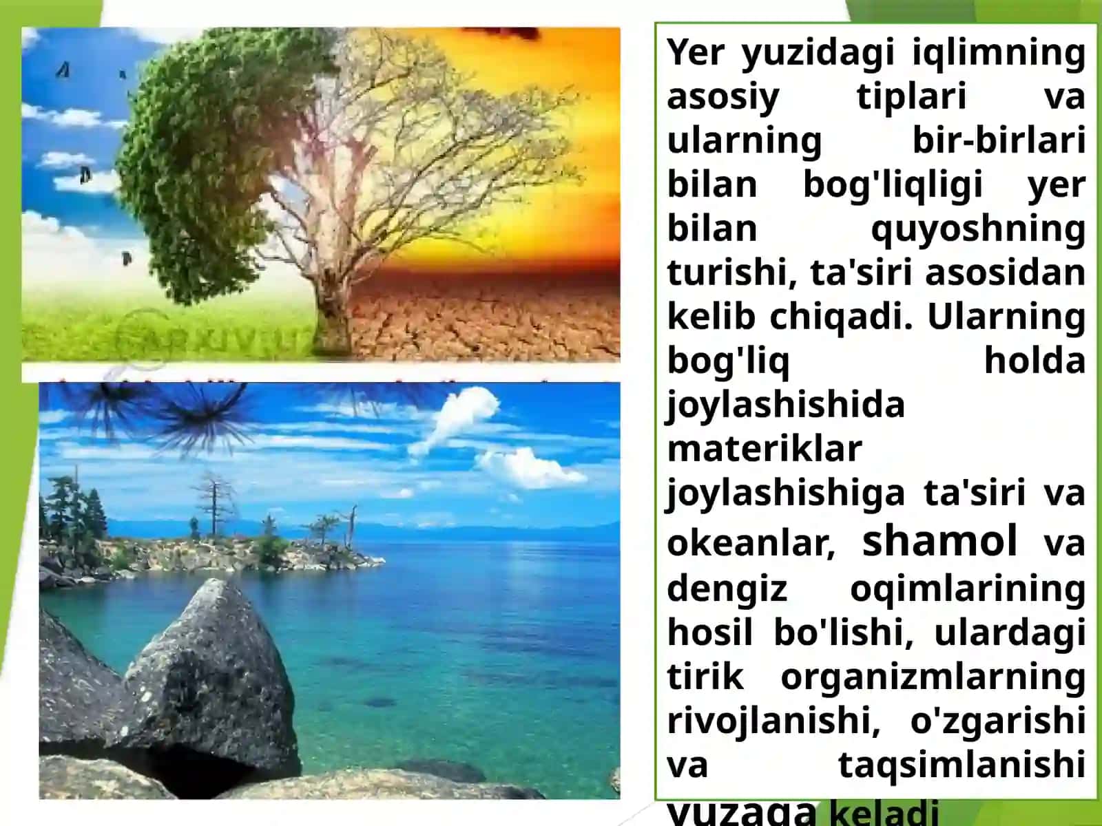 Biologik ma'romlar 4