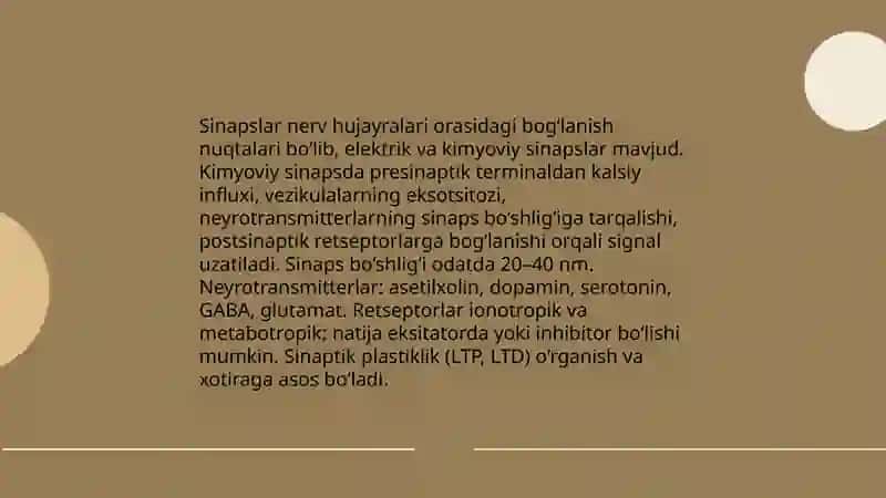 Psixikaning nerv fizalogik asoslari 4