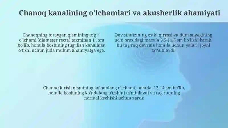 Chov kanali anatomiyasi 4